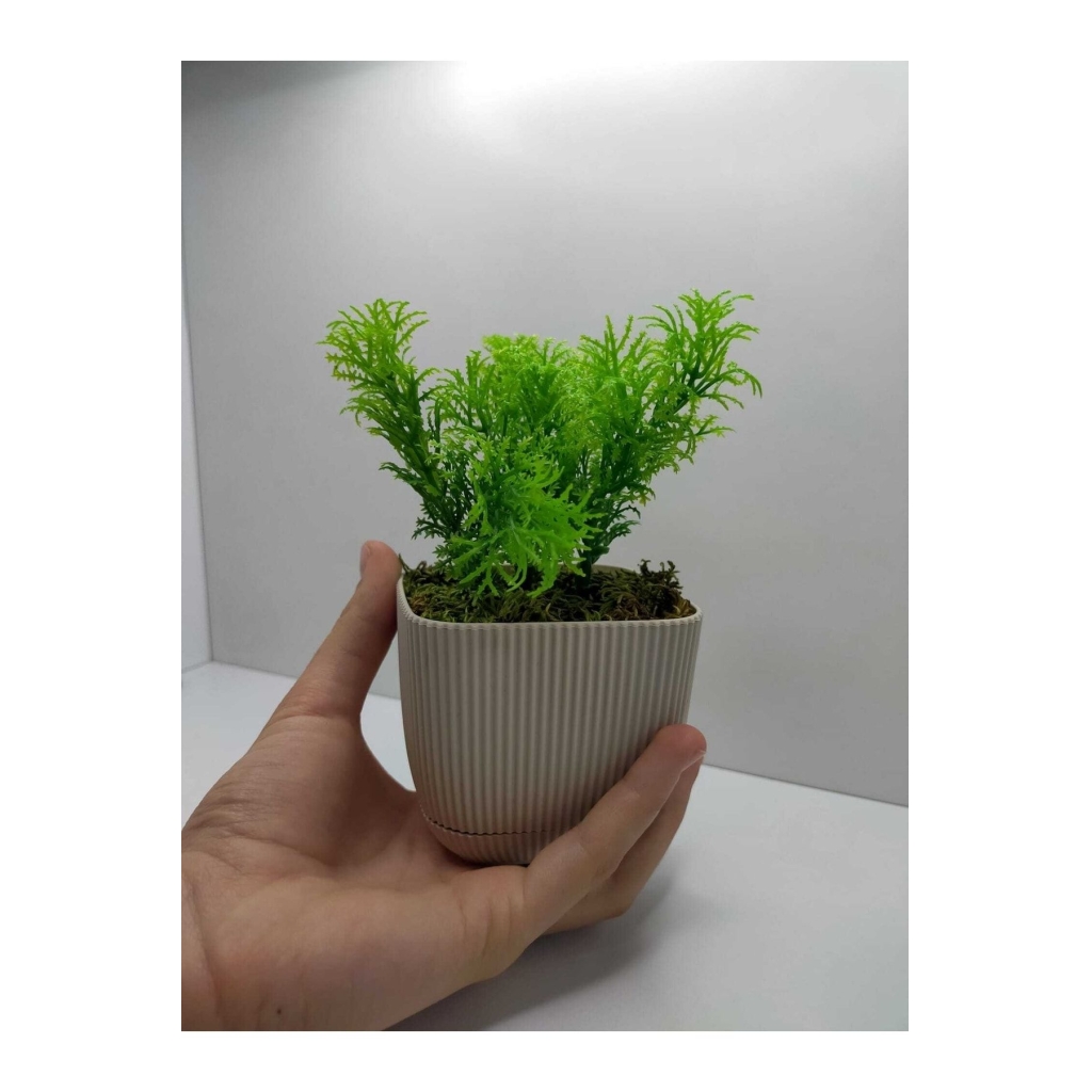 Bej Kare Saksı Çim Yeşili Yapay Çiçek Bitki , Gerçek Taş Yosunlu Banyo Mutfak Masa Çiçeği No:1